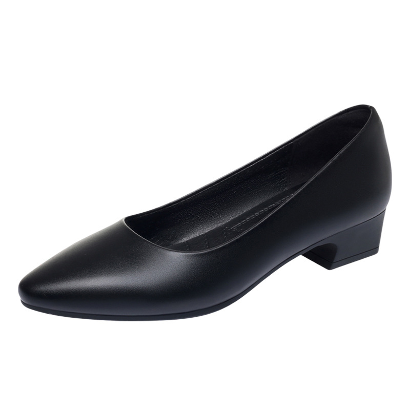 모든 스타일에 어울리는 우아한 여성용 부드러운 가죽 구 - Court Heel Pointed 리뷰 및 가격